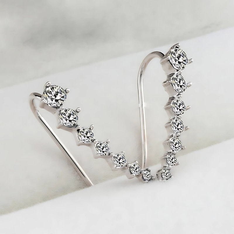 Earrings 1+1 GRATIS: Lang Elegant Clip-Aan Oorbellen voor Vrouwen