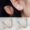 Earrings 1+1 GRATIS: Lang Elegant Clip-Aan Oorbellen voor Vrouwen