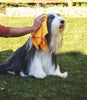 CleaningCloth 1+1 GRATIS: Multifunctioneel Super Absorberend Schoonmaken Doek