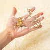 JewelryStorage: Transparant Juwelen Opbergboek Set