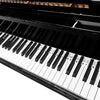 Marcatino™ KeyboardLabel - Verwijderbaar Piano en Toetsenbord Siliconen Etiket