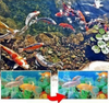 WaterPurifier 2+2 GRATIS - Snel En Effectief Water Reiniger Tablet Voor Aquarium