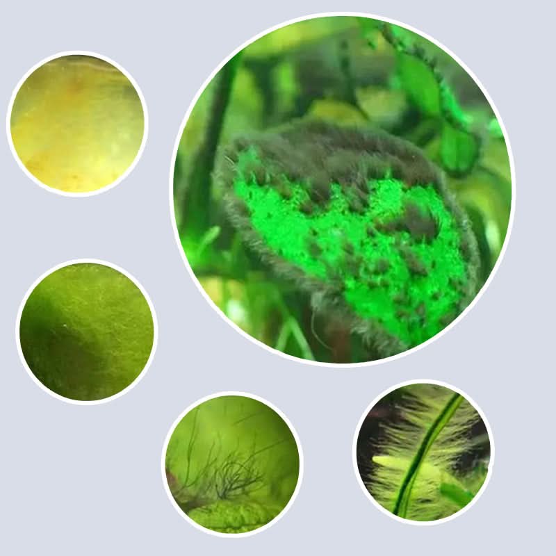 AquariumCleaner 1+1 GRATIS: Aquarium Algenverwijderaar en Waterzuiveraar