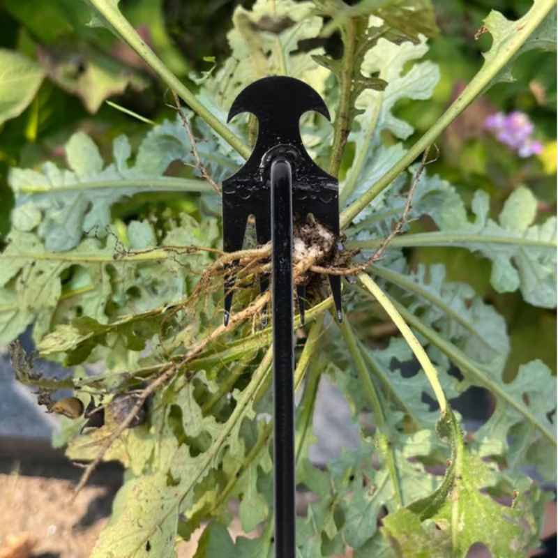 GardenTool 1+1 GRATIS: Ergonomisch Onkruid Verwijderen Tuin Gereedschap